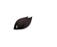 Phyto - PHYTOCOLOR 1 - Schwarz